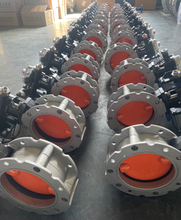 Butterfly Valve