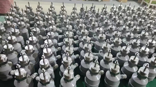 Rotary Paddle Level Switch